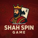 Shah Spin Game